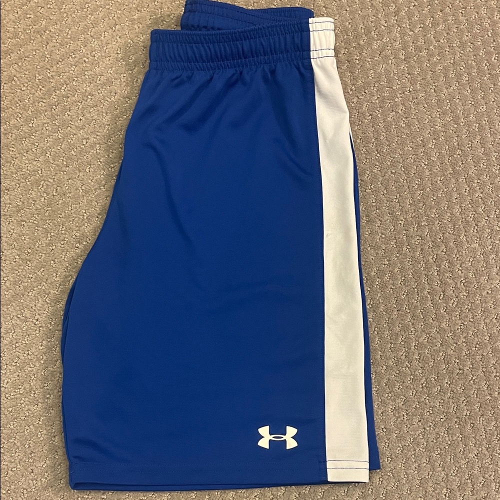 Under Armour Royal Blue Shorts with White Stripe